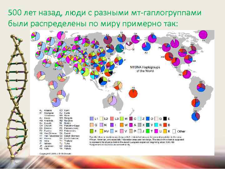 500 лет назад, люди с разными мт-гаплогруппами были распределены по миру примерно так: 