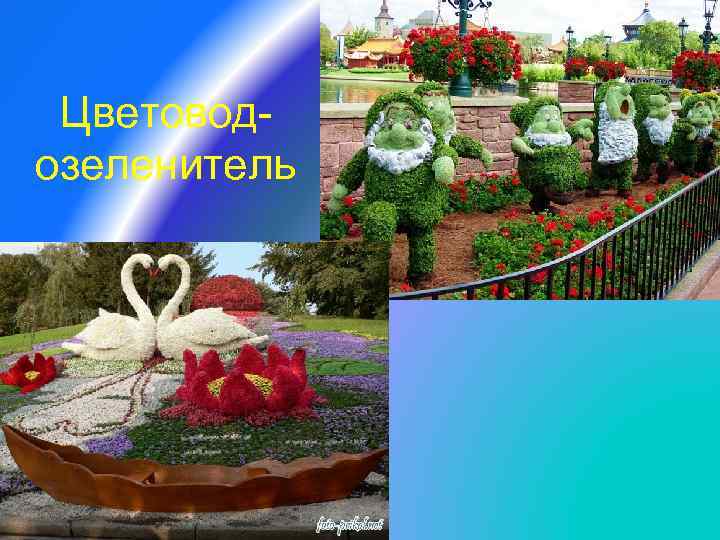 Цветоводозеленитель 