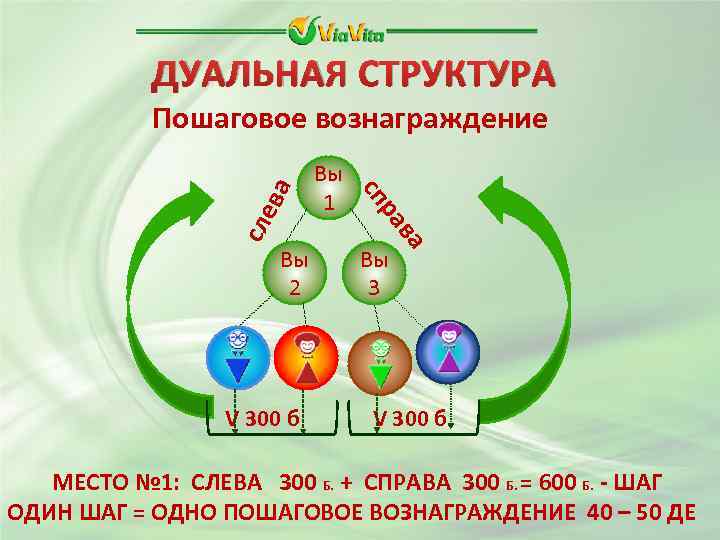 ДУАЛЬНАЯ СТРУКТУРА сле Вы 3 ва V 300 б ра Вы 2 Вы 1