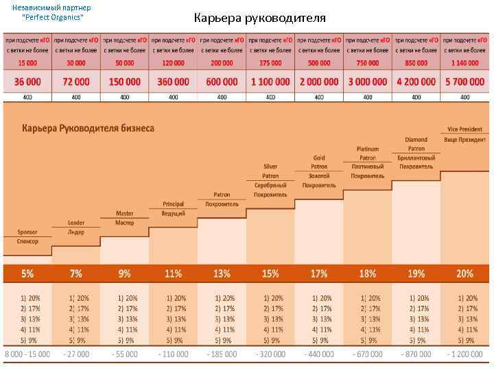 Маркетинг план перфект органикс картинка