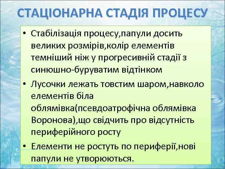 СТАЦІОНАРНА СТАДІЯ ПРОЦЕСУ • Стабілізація процесу, папули досить великих розмірів, колір елементів темніший ніж