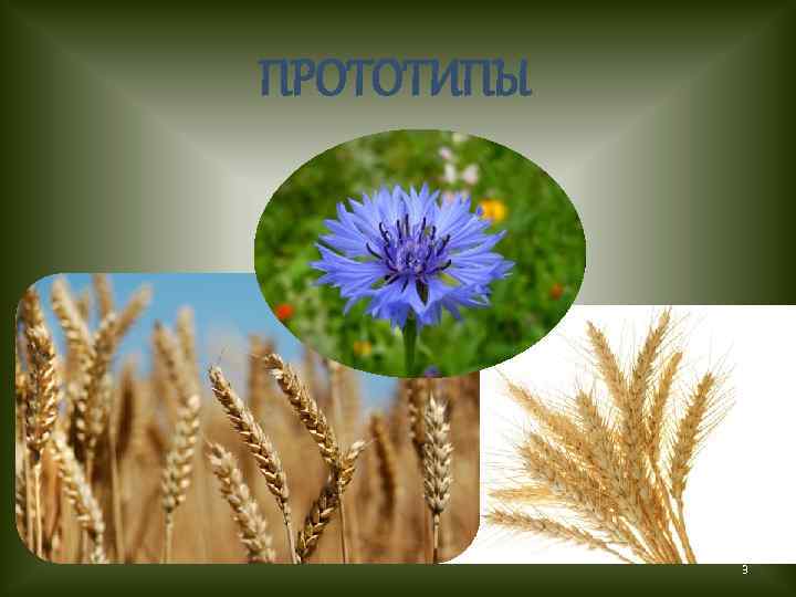 ПРОТОТИПЫ 3 