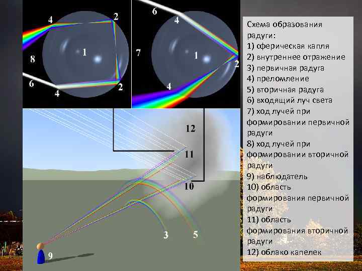 Схема образования радуги: 1) сферическая капля 2) внутреннее отражение 3) первичная радуга 4) преломление