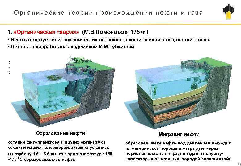 Органические теории происхождении нефти и газа 1. «Органическая теория» (М. В. Ломоносов, 1757 г.