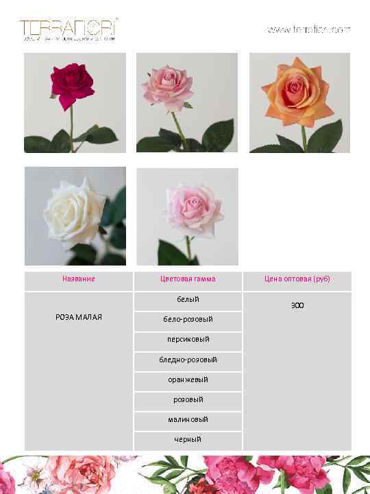 Название Цветовая гамма белый РОЗА МАЛАЯ бело-розовый персиковый бледно-розовый оранжевый розовый малиновый черный Цена