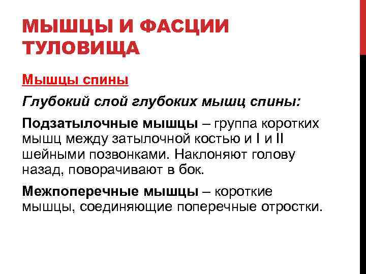 МЫШЦЫ И ФАСЦИИ ТУЛОВИЩА Мышцы спины Глубокий слой глубоких мышц спины: Подзатылочные мышцы –