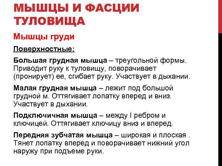 МЫШЦЫ И ФАСЦИИ ТУЛОВИЩА Мышцы груди Поверхностные: Большая грудная мышца – треугольной формы. Приводит