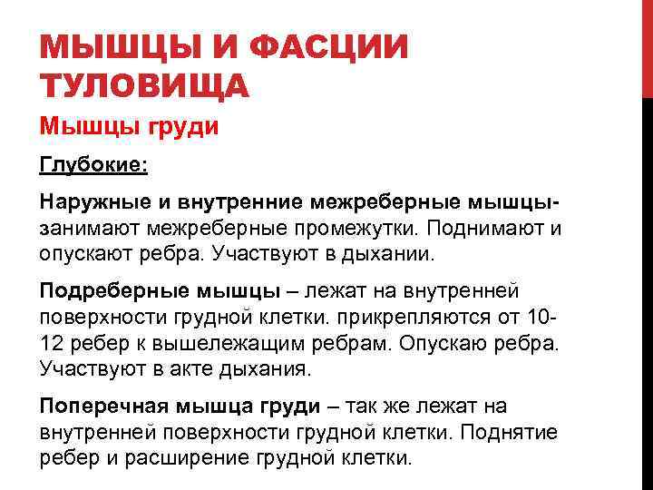МЫШЦЫ И ФАСЦИИ ТУЛОВИЩА Мышцы груди Глубокие: Наружные и внутренние межреберные мышцызанимают межреберные промежутки.