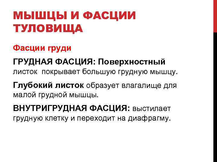 МЫШЦЫ И ФАСЦИИ ТУЛОВИЩА Фасции груди ГРУДНАЯ ФАСЦИЯ: Поверхностный листок покрывает большую грудную мышцу.
