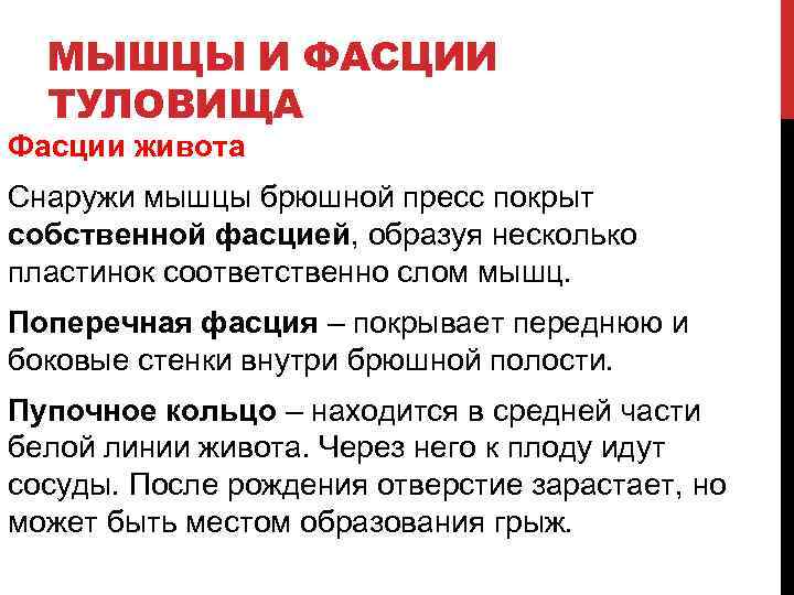 МЫШЦЫ И ФАСЦИИ ТУЛОВИЩА Фасции живота Снаружи мышцы брюшной пресс покрыт собственной фасцией, образуя