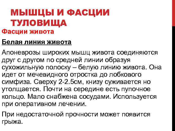 МЫШЦЫ И ФАСЦИИ ТУЛОВИЩА Фасции живота Белая линия живота Апоневрозы широких мышц живота соединяются