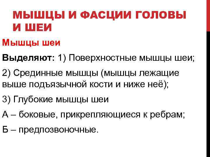 МЫШЦЫ И ФАСЦИИ ГОЛОВЫ И ШЕИ Мышцы шеи Выделяют: 1) Поверхностные мышцы шеи; 2)
