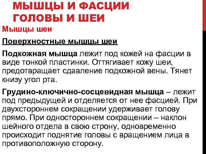 МЫШЦЫ И ФАСЦИИ ГОЛОВЫ И ШЕИ Мышцы шеи Поверхностные мышцы шеи Подкожная мышца лежит