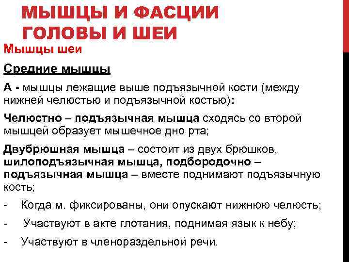 МЫШЦЫ И ФАСЦИИ ГОЛОВЫ И ШЕИ Мышцы шеи Средние мышцы А - мышцы лежащие