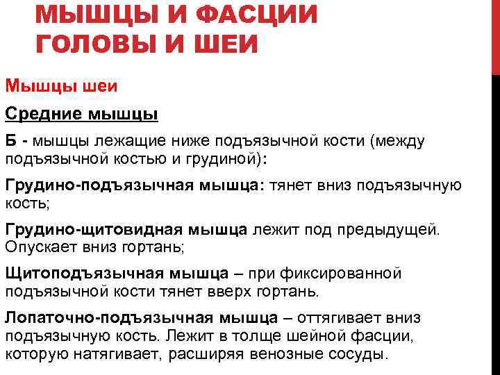 МЫШЦЫ И ФАСЦИИ ГОЛОВЫ И ШЕИ Мышцы шеи Средние мышцы Б - мышцы лежащие