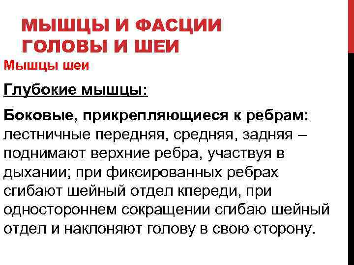 МЫШЦЫ И ФАСЦИИ ГОЛОВЫ И ШЕИ Мышцы шеи Глубокие мышцы: Боковые, прикрепляющиеся к ребрам: