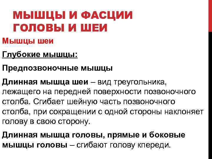 МЫШЦЫ И ФАСЦИИ ГОЛОВЫ И ШЕИ Мышцы шеи Глубокие мышцы: Предпозвоночные мышцы Длинная мышца