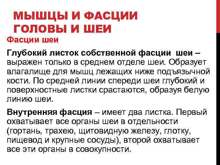 МЫШЦЫ И ФАСЦИИ ГОЛОВЫ И ШЕИ Фасции шеи Глубокий листок собственной фасции шеи –
