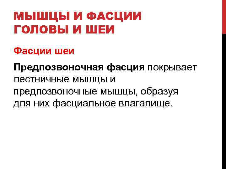 МЫШЦЫ И ФАСЦИИ ГОЛОВЫ И ШЕИ Фасции шеи Предпозвоночная фасция покрывает лестничные мышцы и