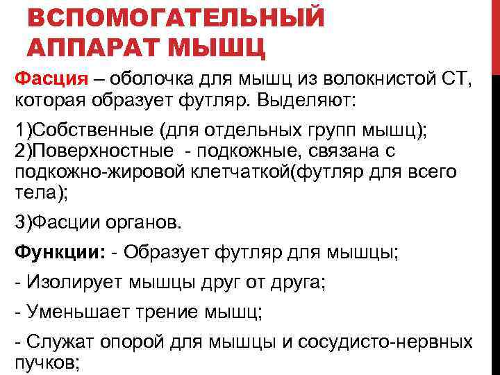 ВСПОМОГАТЕЛЬНЫЙ АППАРАТ МЫШЦ Фасция – оболочка для мышц из волокнистой СТ, которая образует футляр.