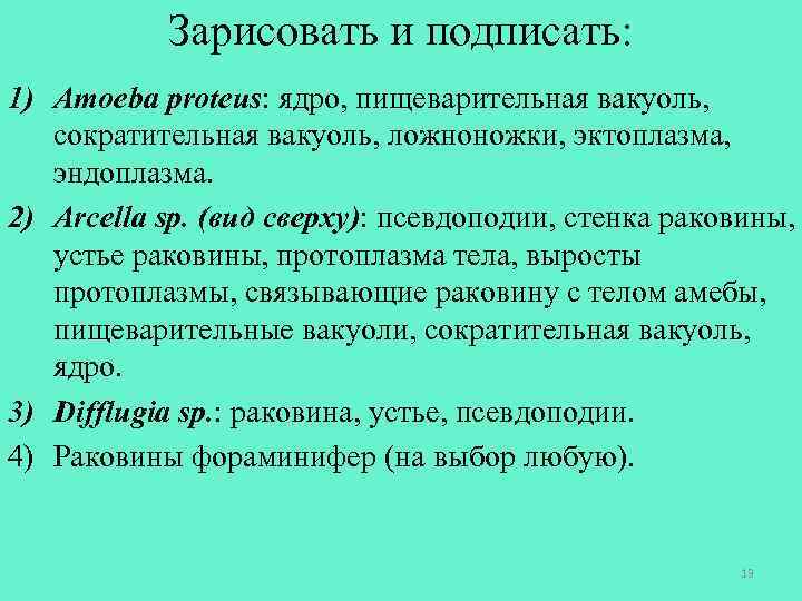 Зарисовать и подписать: 1) Amoeba proteus: ядро, пищеварительная вакуоль, сократительная вакуоль, ложноножки, эктоплазма, эндоплазма.