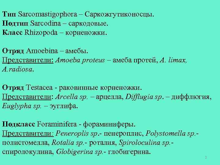 Тип Sarcomastigophora – Саркожгутиконосцы. Подтип Sarcodina – саркодовые. Класс Rhizopoda – корненожки. Отряд Amoebina