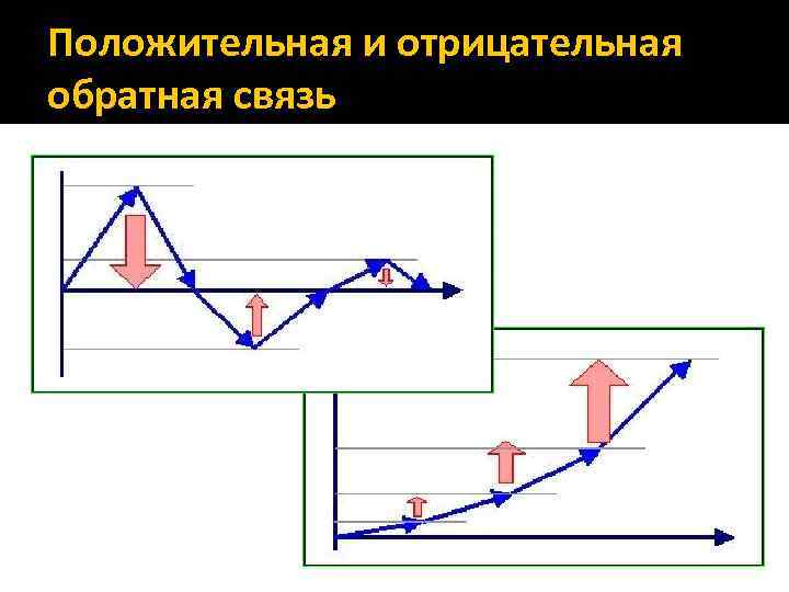 Положительная и отрицательная обратная связь 