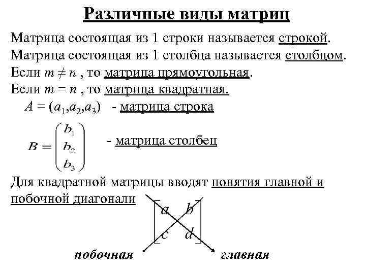 Различные виды матриц Матрица состоящая из 1 строки называется строкой. Матрица состоящая из 1