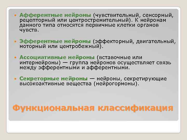  Афферентные нейроны (чувствительный, сенсорный, рецепторный или центростремительный). К нейронам данного типа относятся первичные