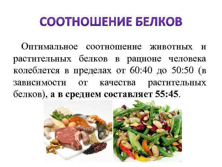  Оптимальное соотношение животных и растительных белков в рационе человека колеблется в пределах от
