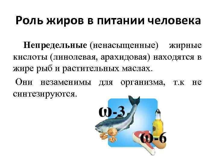 Роль жиров в питании человека Непредельные (ненасыщенные) жирные кислоты (линолевая, арахидовая) находятся в жире