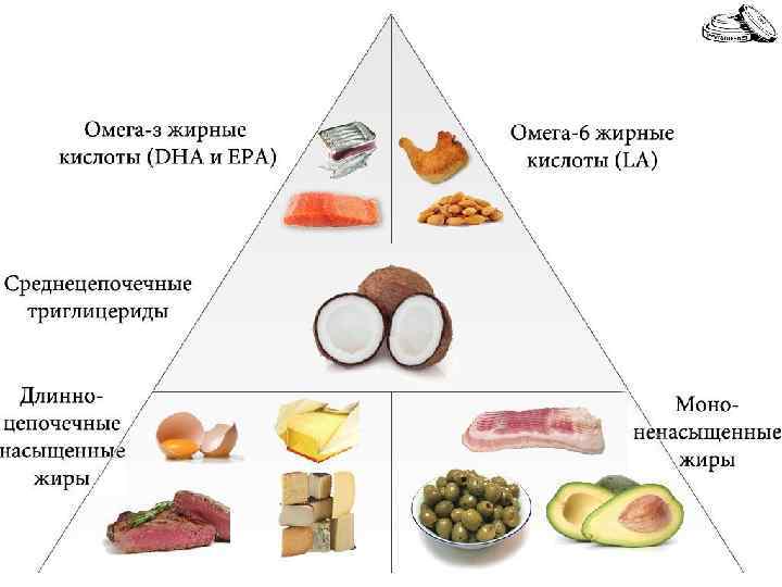Источники жиров 