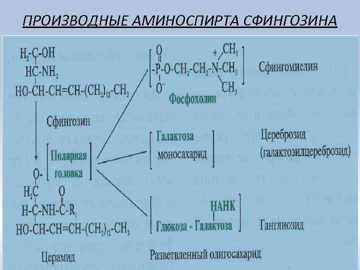 ПРОИЗВОДНЫЕ АМИНОСПИРТА СФИНГОЗИНА 