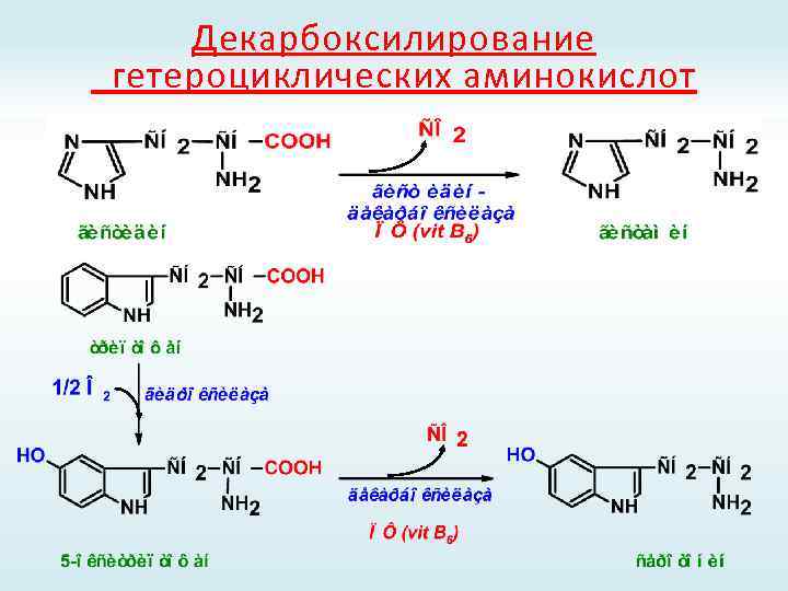 Декарбоксилирование гетероциклических аминокислот 
