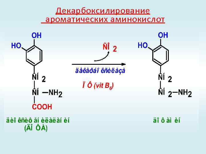 Декарбоксилирование ароматических аминокислот 