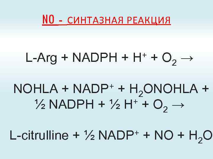 NO - СИНТАЗНАЯ РЕАКЦИЯ L-Arg + NADPH + H+ + O 2 → NOHLA
