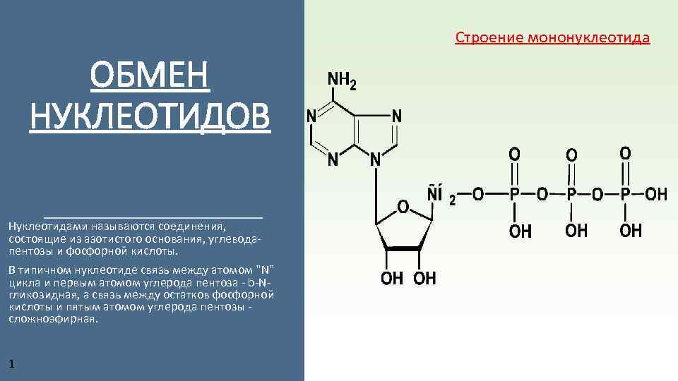 На рисунке изображена схема молекулы вещества являющегося мононуклеотидом как называется