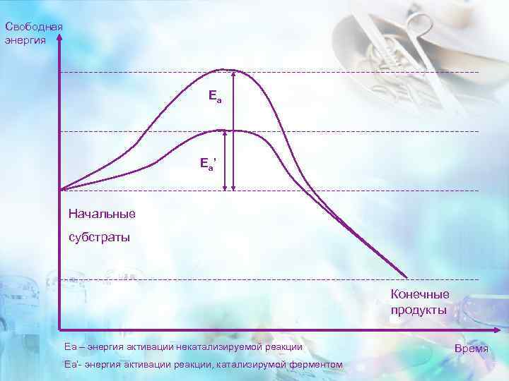 Свободная энергия Еа Еа’ Начальные субстраты Конечные продукты Еа – энергия активации некатализируемой реакции