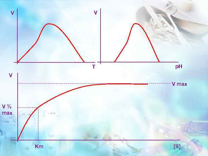 V V T p. H V V max V ½ max Km [S] 