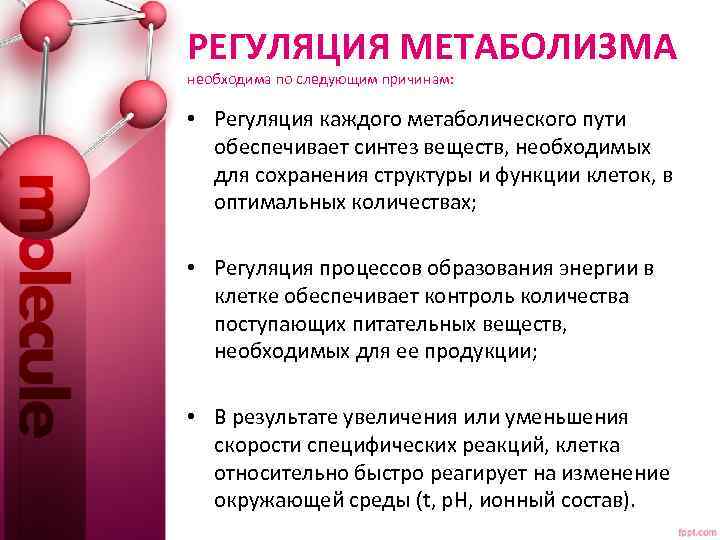 РЕГУЛЯЦИЯ МЕТАБОЛИЗМА необходима по следующим причинам: • Регуляция каждого метаболического пути обеспечивает синтез веществ,