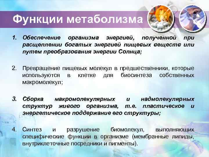 Функции метаболизма 1. Обеспечение организма энергией, полученной при расщеплении богатых энергией пищевых веществ или