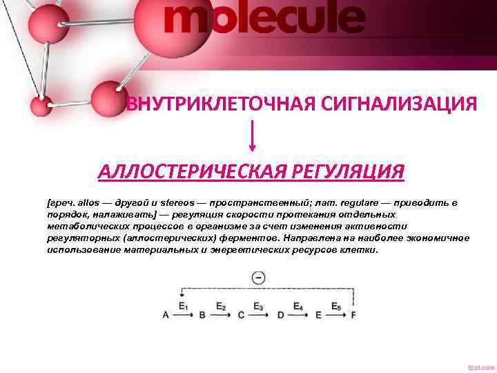 ВНУТРИКЛЕТОЧНАЯ СИГНАЛИЗАЦИЯ АЛЛОСТЕРИЧЕСКАЯ РЕГУЛЯЦИЯ [греч. allos — другой и stereos — пространственный; лат. regulare