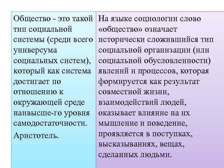 Общество это такой тип социальной системы (среди всего универсума социальных систем), который как система