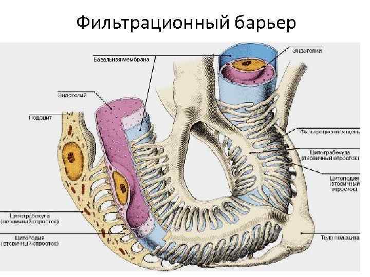 Фильтрационный барьер 