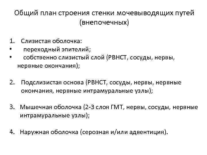 Основной план. Общий план строения мочевыводящих путей. Общий план строения мочеполовой. Общий план строения стенок мочевыводящих путей.. Общий принцип строения стенок мочевыводящих путей.