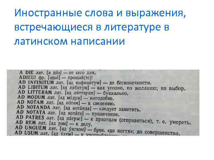 Иностранные слова и выражения, встречающиеся в литературе в латинском написании 