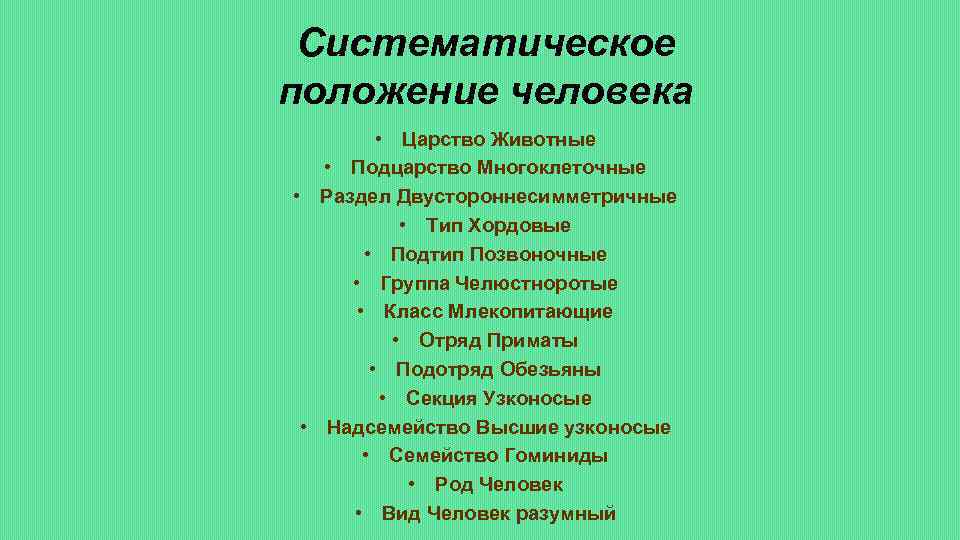 Систематическое положение человека • Царство Животные • Подцарство Многоклеточные • Раздел Двустороннесимметричные • Тип