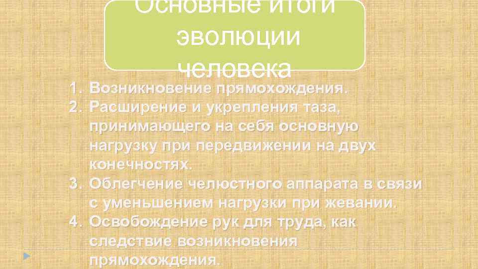 Основные итоги эволюции человека 1. Возникновение прямохождения. 2. Расширение и укрепления таза, принимающего на