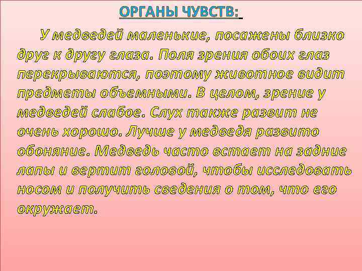 ОРГАНЫ ЧУВСТВ: У медведей маленькие, посажены близко друг к другу глаза. Поля зрения обоих