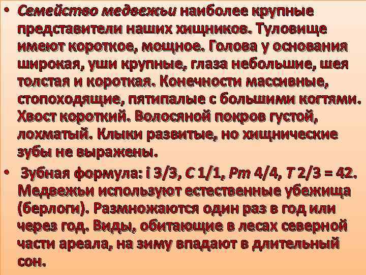  • Семейство медвежьи наиболее крупные представители наших хищников. Туловище имеют короткое, мощное. Голова